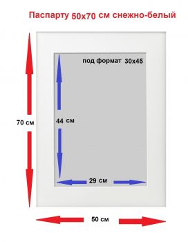 �������� ������ ����� 50x70 ��� ������ 30�45 �� 1 ��.